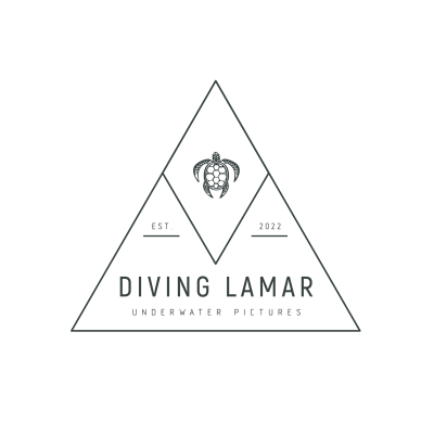 Diving Lamar Underwater Pictures